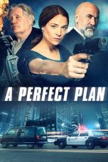 Nonton film A Perfect Plan (2020)